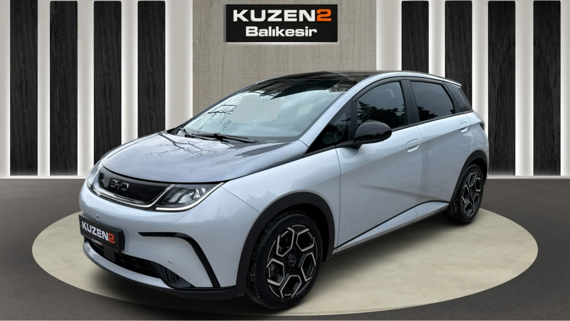 BYD DOLPHIN 150KW DESIGN